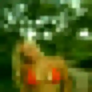 Photo sexy de Sarah, 42 ans à Meyenheim - plan discret