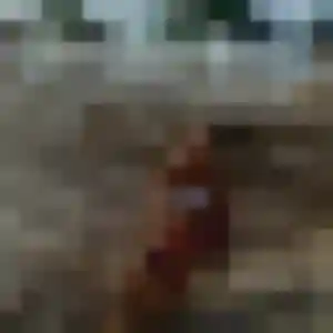 Photo perso de Iman, 39 ans à Mézel - rencontre coquine