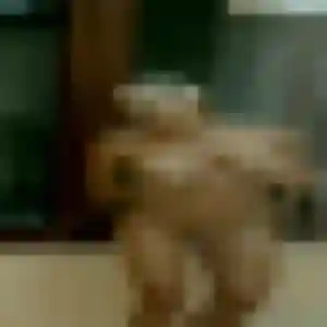 Contacte Yasmine, 22 ans à Mézières-sur-Ponthouin en privé