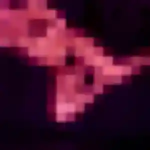 Photo de Saida à Mignières (32 ans) - beurette gratuit