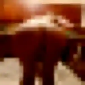 Lina (29 ans) à Milly-sur-Thérain cherche une rencontre aujourd'hui