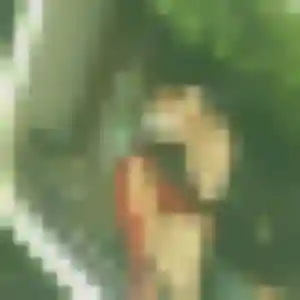 Mina de Missy-sur-Aisne, 37 ans - beurette en toute liberté