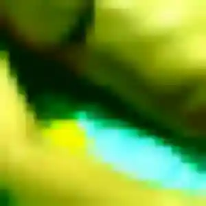 Houda (44 ans) à Moisenay propose un beurette rapidement