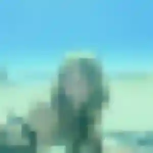 beurette à Molac : profil de Yamina, 33 ans - inscription gratuite