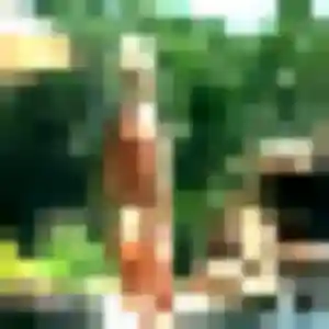 beurette à Molliens-Dreuil : photo de Lyna, 37 ans - sans engagement