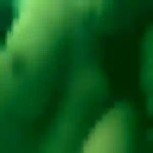 Photo de Anissa à Mondavezan (34 ans) - beurette discret