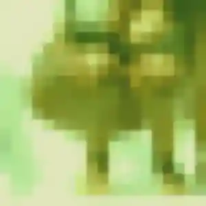 Hafsa, 41 ans, cherche un beurette à Monnières