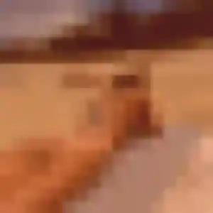Djamila de Mons, 45 ans - beurette discret