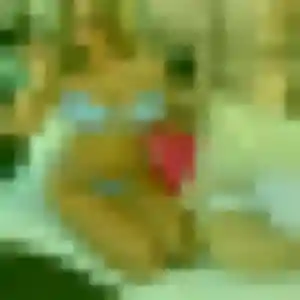 Nadia, 45 ans, connectée à Montaigu-Vendée pour une rencontre coquine