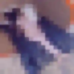 Photo privée de Noura, 37 ans à Montaigu - plan discret