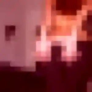 Photo perso de Sirine, 33 ans à Montauban-de-Bretagne - plan discret
