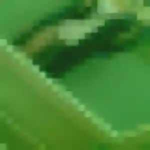 Photo privée de Zara, 28 ans à Montaut - rencontre coquine