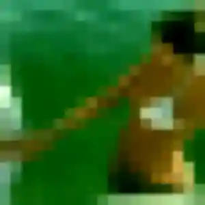 Photo perso de Ilham, 44 ans à Montchevreuil - rencontre coquine