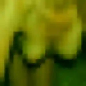 Sonia, 26 ans, connectée à Montescourt-Lizerolles pour une rencontre coquine