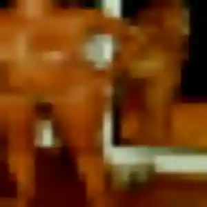 Contacte Nabila, 27 ans à Montesquieu-Lauragais en t'inscrivant