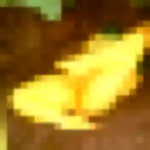 Photo perso de Syrine, 23 ans à Montils - rencontre coquine