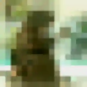 Rencontre Djamila, 45 ans à Montmiral en privé