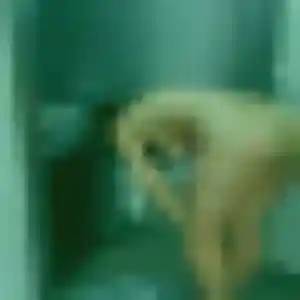 Ihsane, femme de 30 ans veut beurette à Montmorillon