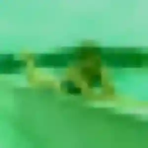 beurette à Montoldre : photo de Sarah, 35 ans - accès libre