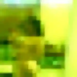 Photo perso de Aicha, 28 ans à Montournais - rencontre coquine