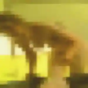 Photo privée de Chaima, 38 ans à Montréal - rencontre coquine