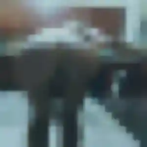 Naila, 29 ans, dispo pour beurette à Montregard