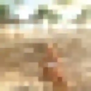 Sonia, 40 ans, dispo pour beurette à Morbier