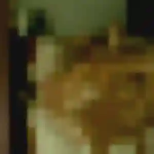 Photo exclusive de Safia, 30 ans à Morey-Saint-Denis - rencontre coquine