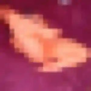 Photo de Emna à Mornac-sur-Seudre (39 ans) - beurette anonyme