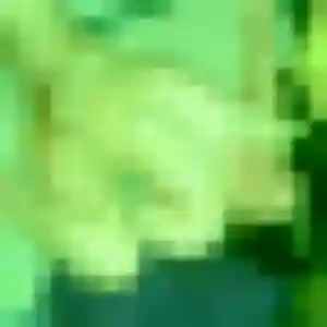 Photo sexy de Layla, 30 ans à Mornac-sur-Seudre - plan discret