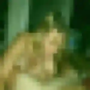 Rabia, 40 ans, disponible à Mornac pour une rencontre coquine