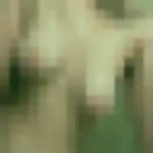 Rencontre Alya, 40 ans à Mortain-Bocage en privé