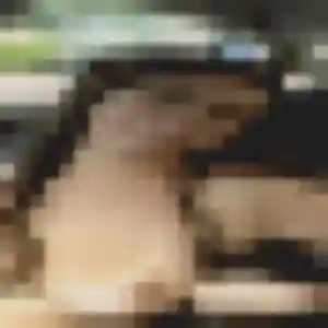 Profil de Soraya à Mouzon (43 ans) - beurette anonyme