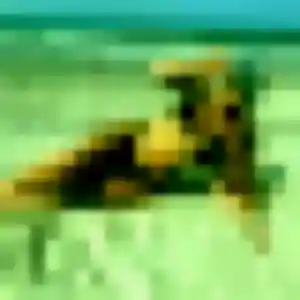 Photo de Loubna à Moyaux (33 ans) - beurette discret