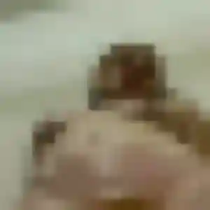 Photo de Maya à Muhlbach-sur-Bruche (34 ans) - beurette anonyme
