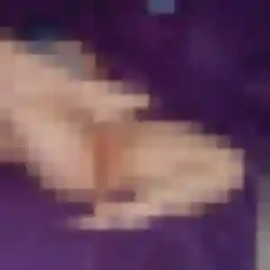Hind, fille de 24 ans veut beurette à Mur-de-Sologne