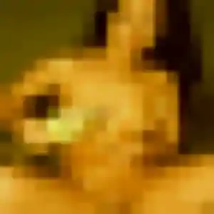 Nawal, femme de 25 ans cherche beurette à Nérigean
