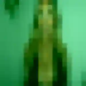 Belle Safia, 24 ans à Nesles - la contacter