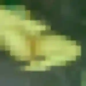 Kamila, fille de 41 ans veut beurette à Neuf-Brisach