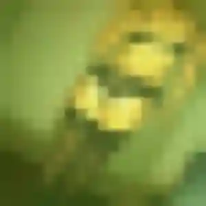Photo exclusive de Nadia, 38 ans à Neufchâtel-en-Bray - rencontre sans lendemain