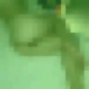 Rihab, fille de 39 ans cherche beurette à Neuvic