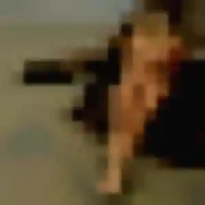Sexy Naya, 34 ans à Neuville-sur-Sarthe - voir sa photo
