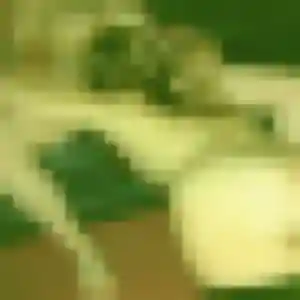 Photo privée de Noura, 42 ans à Nizas - plan discret