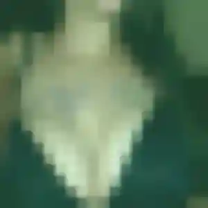 Assia, 24 ans, en ligne à Noailles pour une rencontre coquine