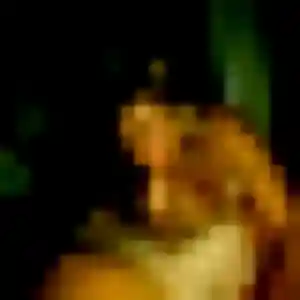 Découvre Feriel, 32 ans à Noisy-Rudignon en t'inscrivant