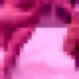 Sexy Anissa, 26 ans à Noordpeene - la contacter