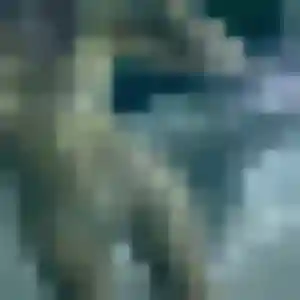 Belle Sonia, 32 ans à Norges-la-Ville - la contacter