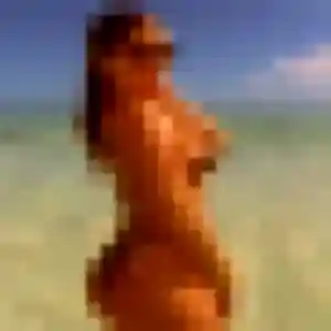 Aya, fille de 26 ans cherche beurette à Notre-Dame-de-la-Mer