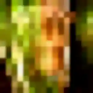 Photo exclusive de Noura, 27 ans à Noyelles-lès-Vermelles - rencontre coquine