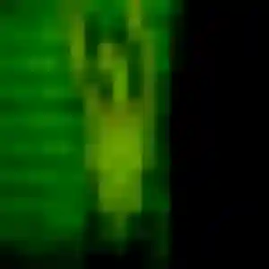 Profil de Saida à Noyelles-sur-Escaut (44 ans) - beurette anonyme